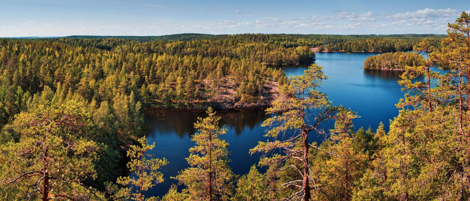Suomalainen metsäinen järvimaisema kesällä.