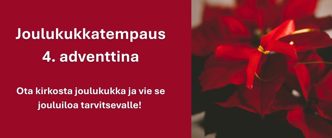 Ota kirkosta joulukukka neljäntenä adventtina ja vie se jouluiloa tarvitsevalle.