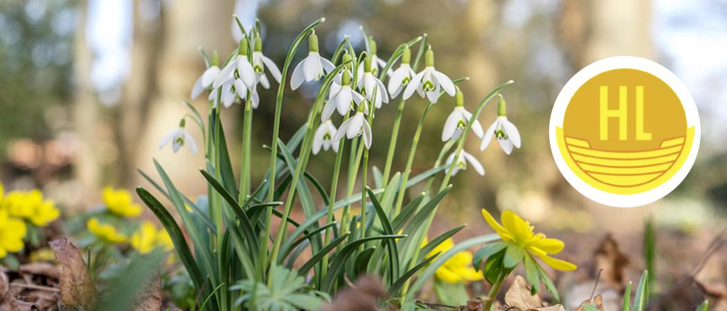 Kev&auml;isi&auml; kukkia, Helsingin Lauluveljien logo ja teksti kev&auml;tkonsertti