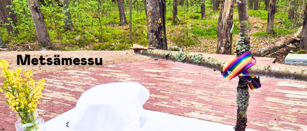 Mets&auml;messu Mustikkamaalla