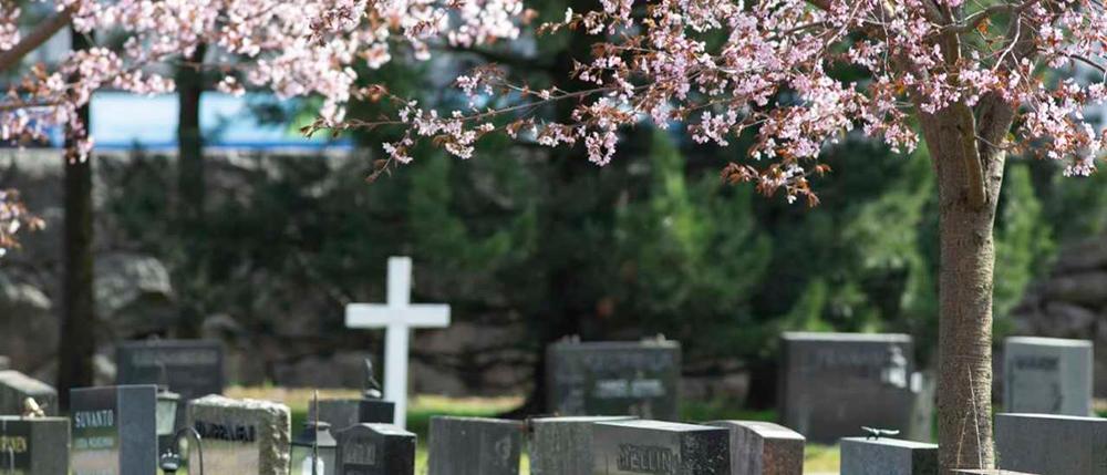 Malmin hautausmaa, kuvaaja Paula Niemelä