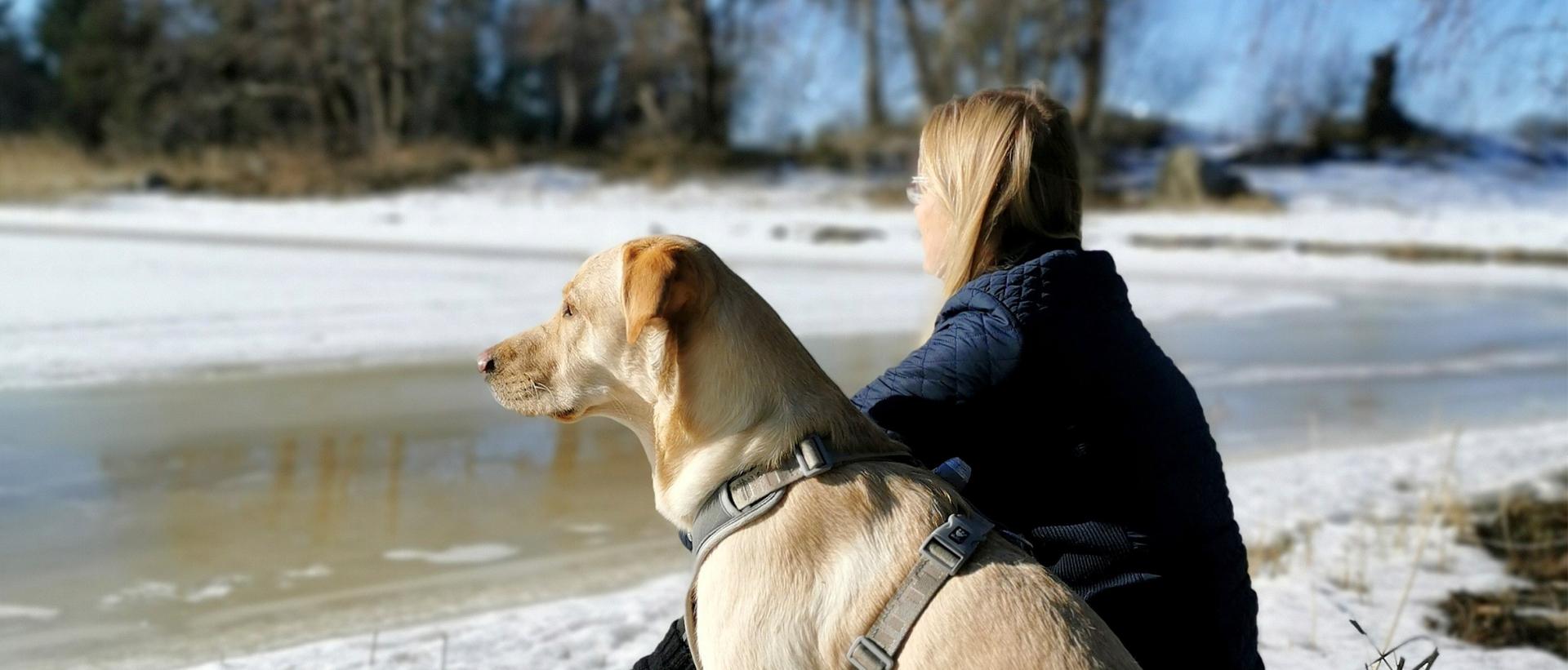 Nuori nainen ja vaalea labradorinnoutaja rannalla istumassa kevättalvella katselemassa jäälle. Kuva: Marko Anttila