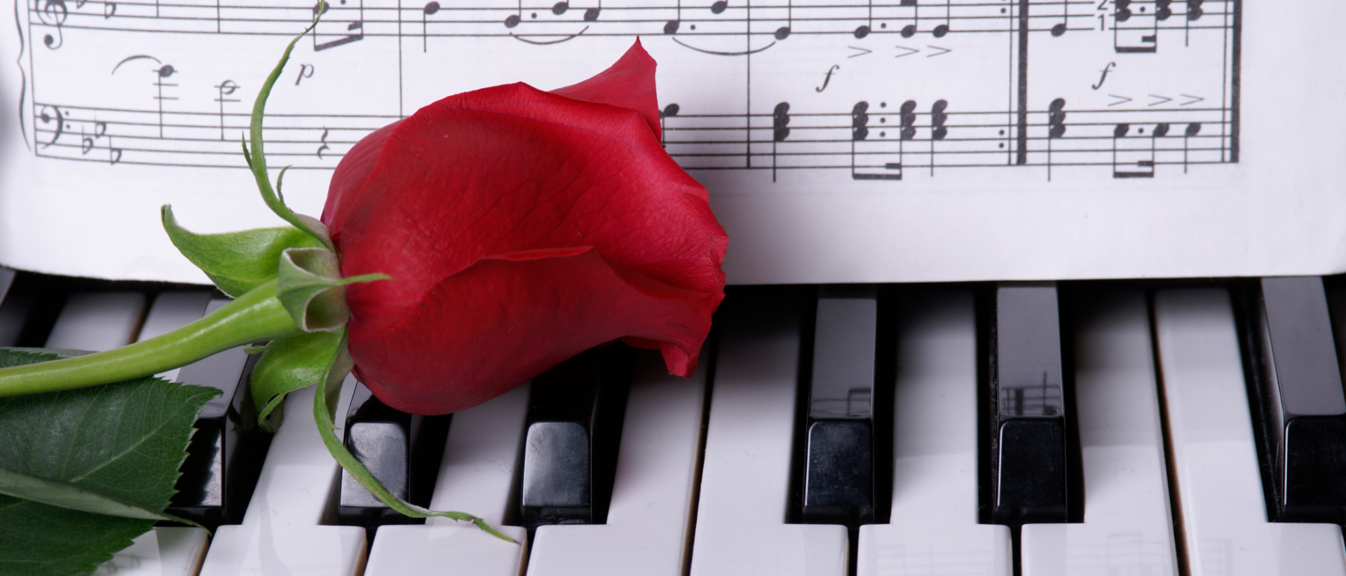 piano, ruusut ja nuotit