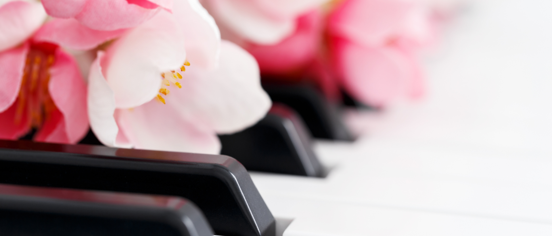 piano ja vaaleanpunaiset kukat