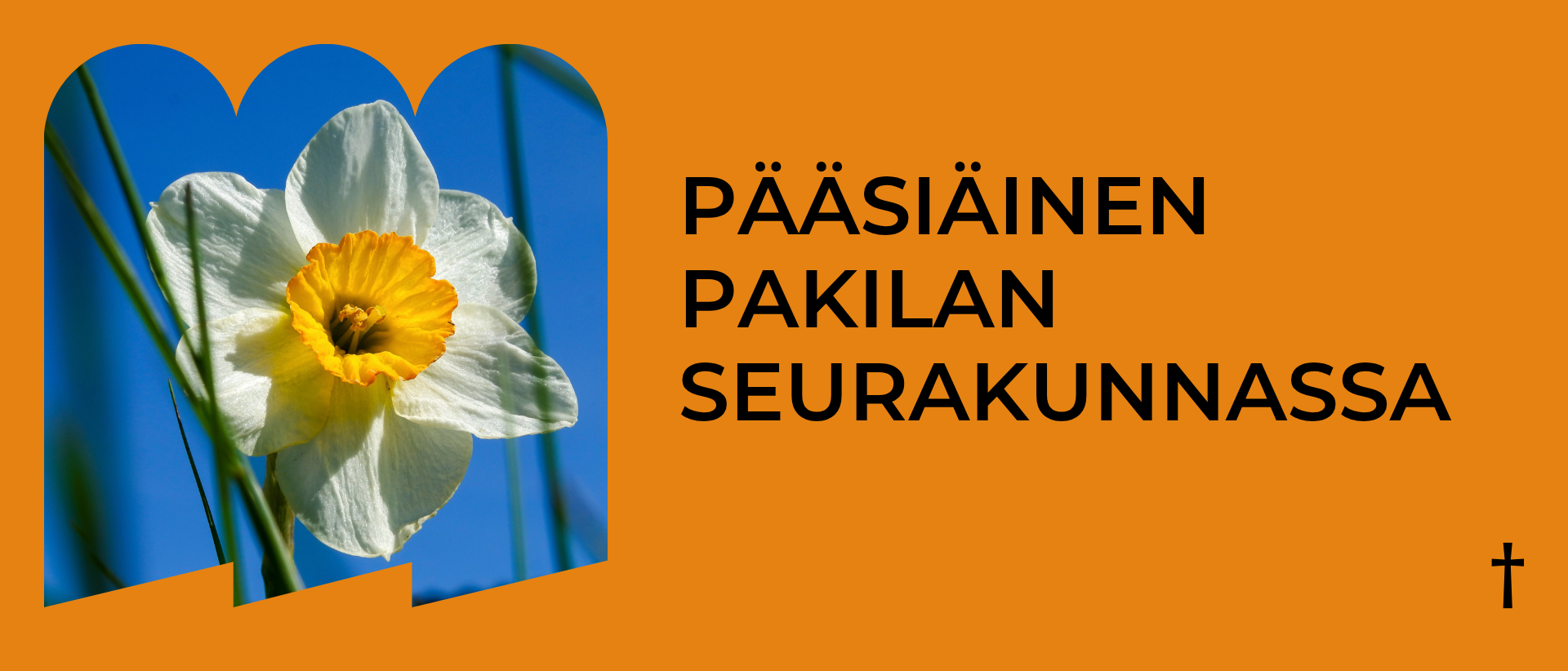 Oranssilla taustalla vasemmalla kuva valeasta narsissista sinistä taivasta vasten, oikealla musta teksti: Pääsiäinen Pakilan seurakunnassa.