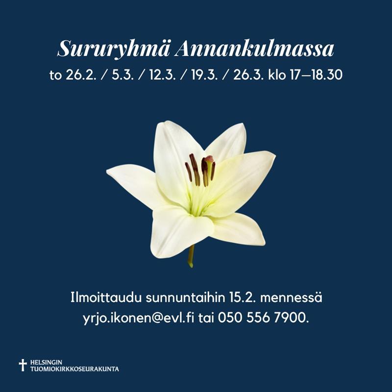 Sururyhmä Annankulmassa kevättalvella 2026