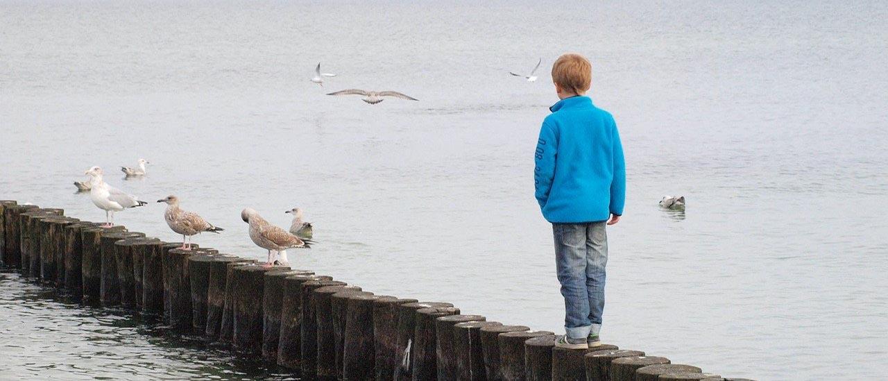 Kuvassa on lokkeja ja poika seisoo tukkien päällä merellä