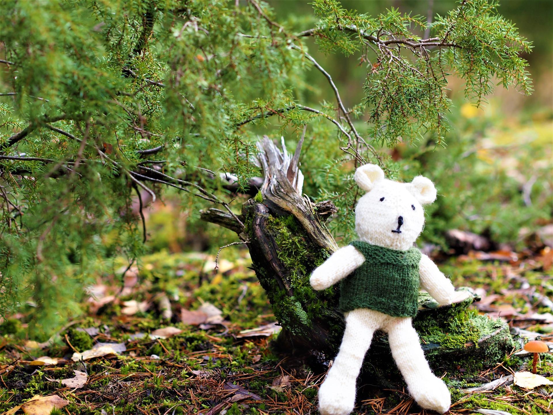 Kallion seurakunnan Lohtunalle