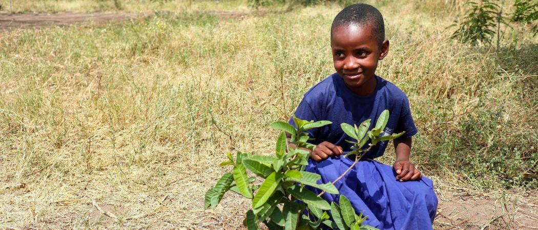 Lapsi vihreän kasvin luona Kinshapussa