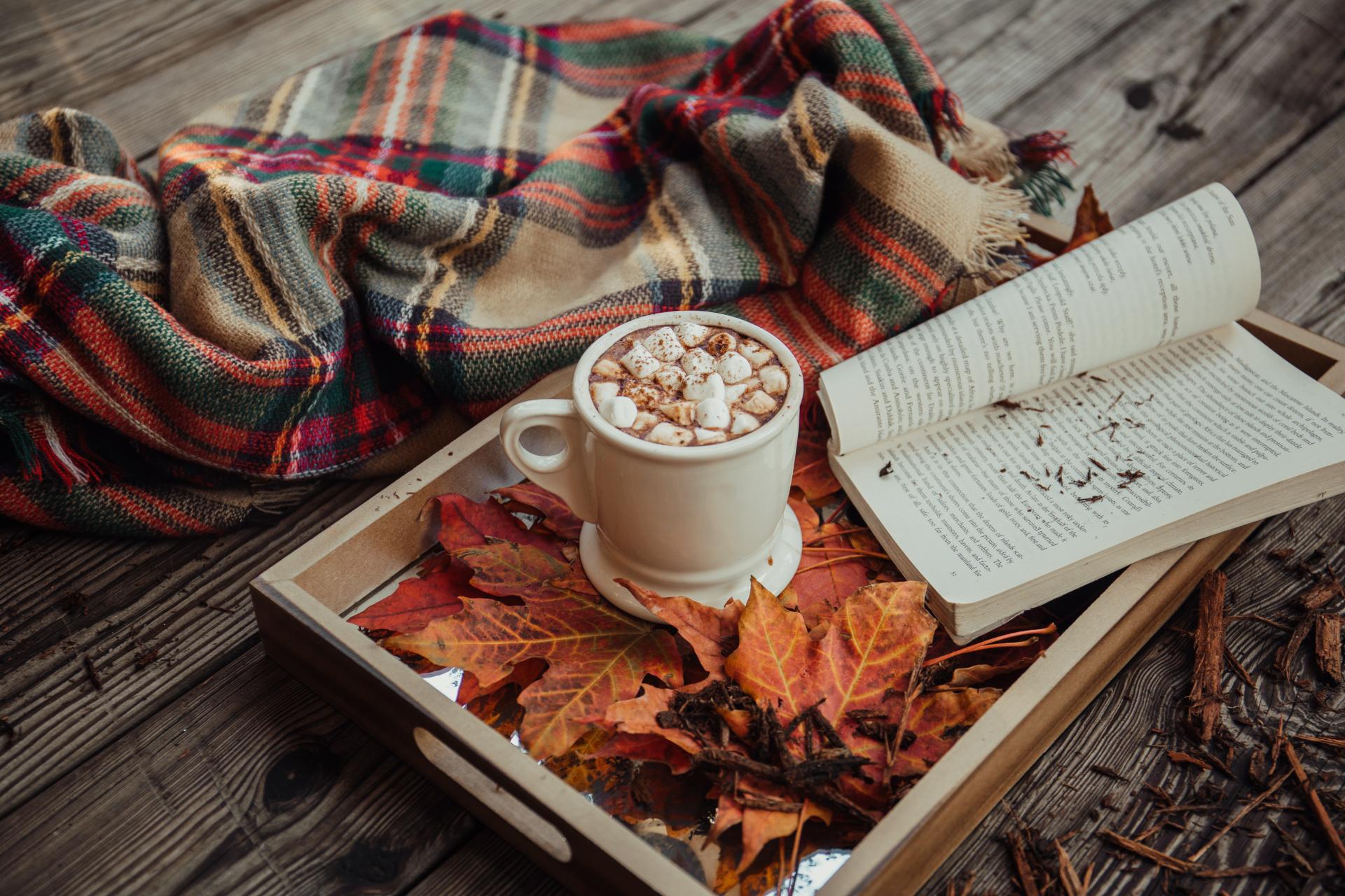 En bok och en varm choklad på en bricka fylld med löv